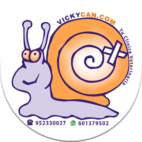 Logotipo de Vickycan