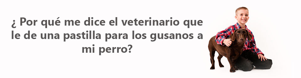 Cabecera del artículo parásitos intestinales