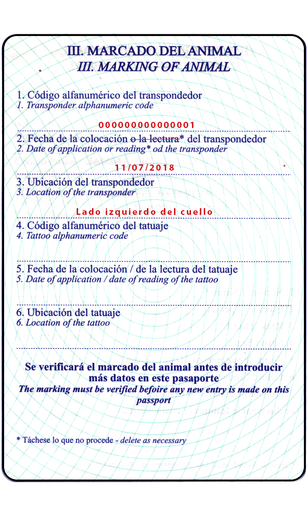 Pasaporte. Sección III