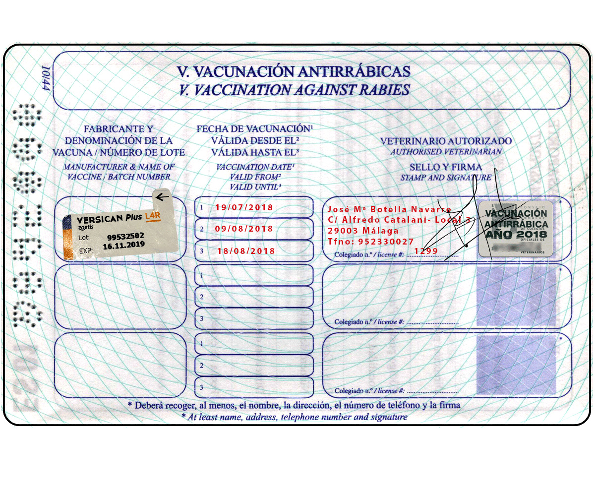 seción V, Vacunación de Rabia