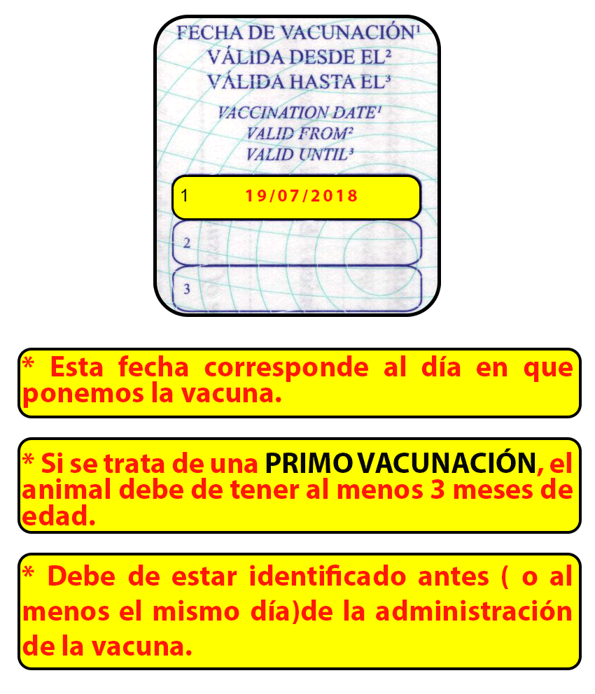 Fecha de vacunación de rabia
