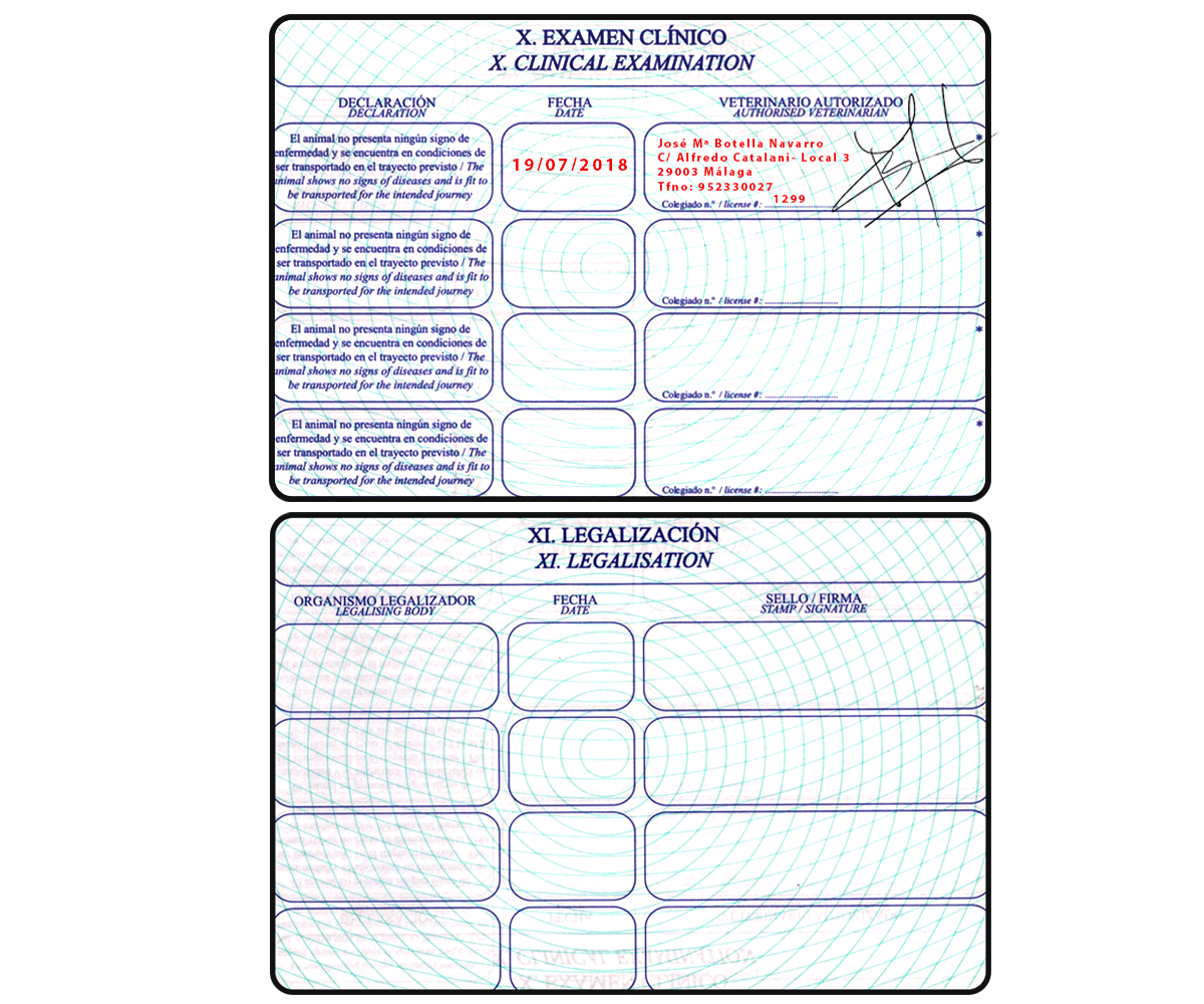 Pasaporte Sección Legalización