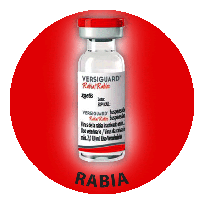 Vacuna de Rabia