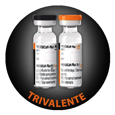 Vacuna Trivalente