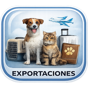 Servicios en VICKYCAN: EXPORTACIONES