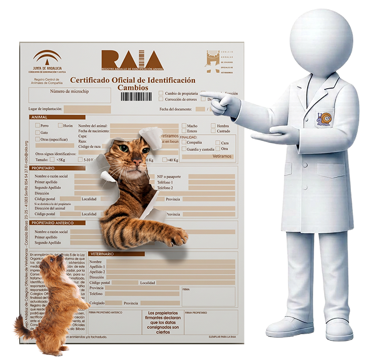 cambio de propietario de perro y gato en Málaga documento oficial RAIA veterinario