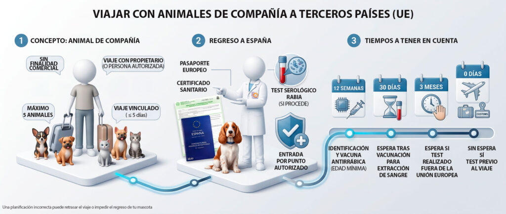 Infografía sobre exportación de animales de compañía a terceros países con requisitos, cronograma y CEXGAN