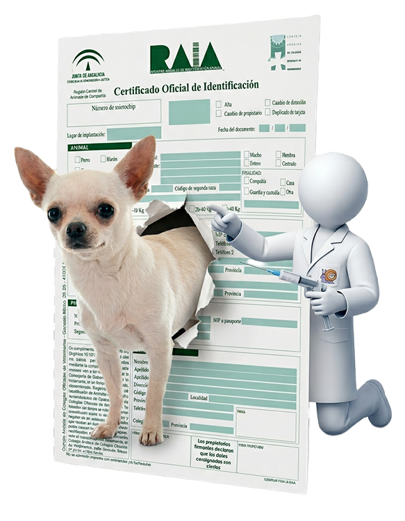 Veterinario implantando microchip a perro en clínica veterinaria Vickycan Málaga