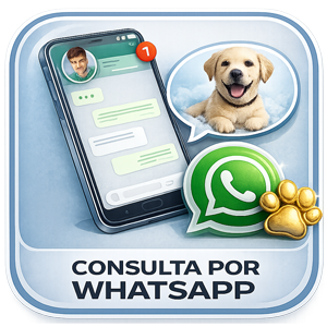 Servicios en VICKYCAN: WHATSAP