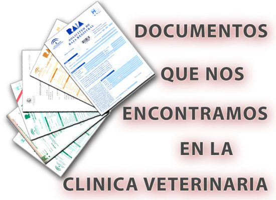 documentos en veterinaria