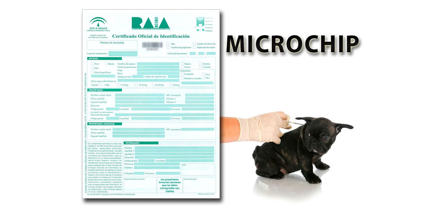 microchip_alta1